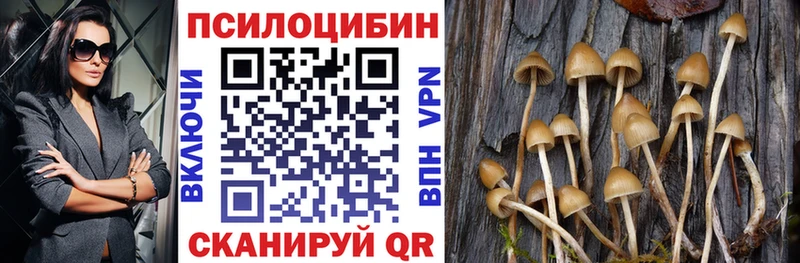 Купить где  Няндома  Галлюциногенные грибы ЛСД 